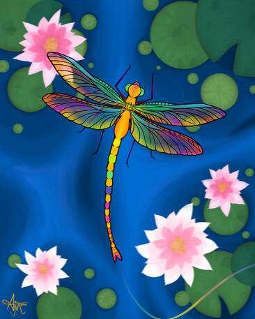 DragonFly 24